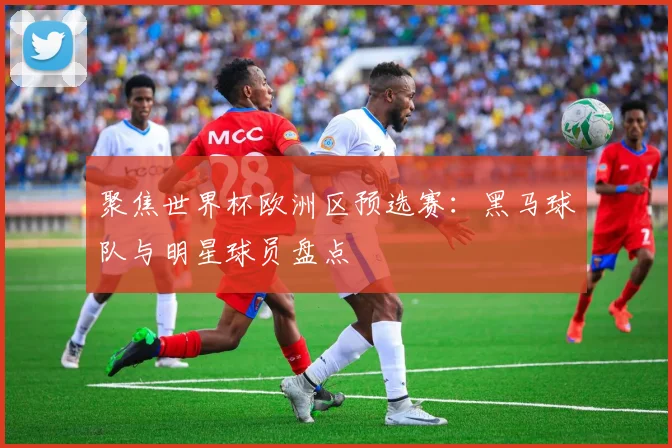 聚焦世界杯欧洲区预选赛：黑马球队与明星球员盘点